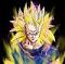 ss4gokujr
